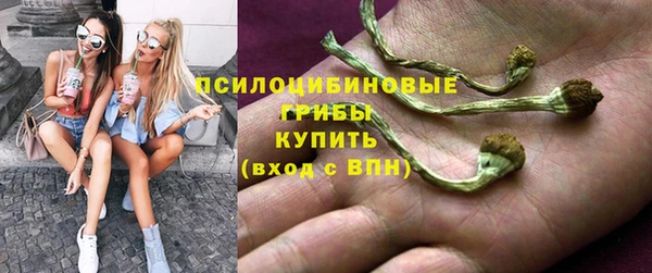 ПСИЛОЦИБИНОВЫЕ ГРИБЫ Арсеньев