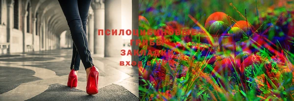 apvp Аркадак