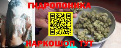 гашик Бийск