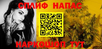 гашик Бийск