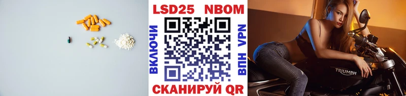 дарнет шоп  Бийск  kraken рабочий сайт  LSD-25 экстази кислота 